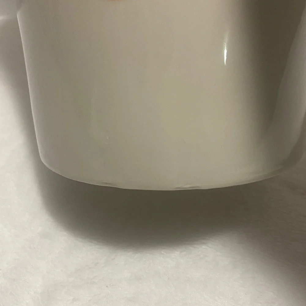 Pier 1 imports giraffe mug